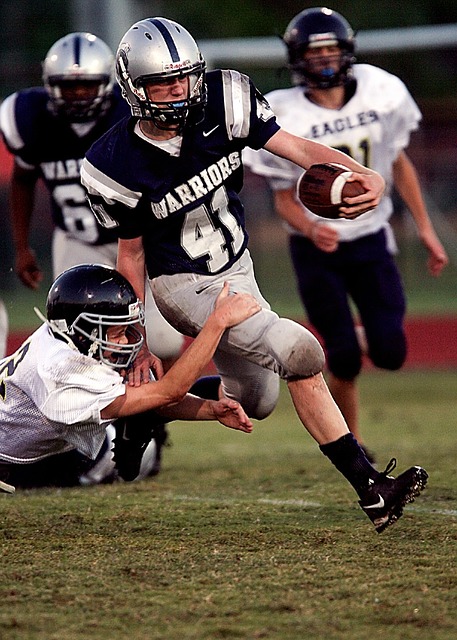 望郑钦文 望郑钦文