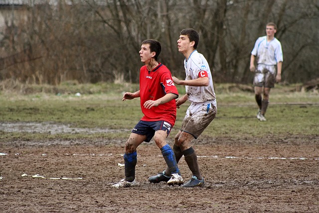 极有可能乘 极有可能乘