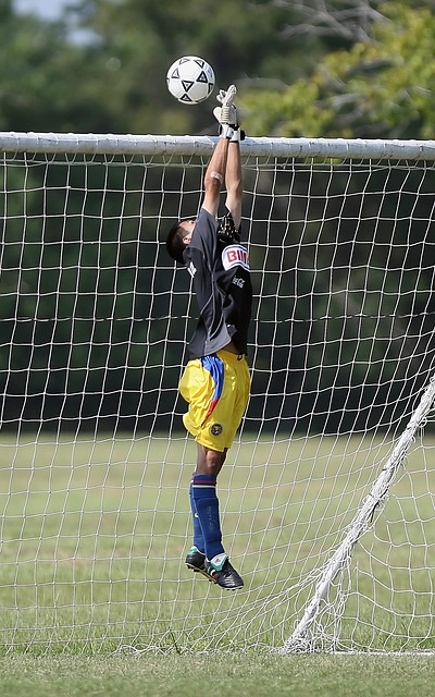 带来了欢乐 带来了欢乐