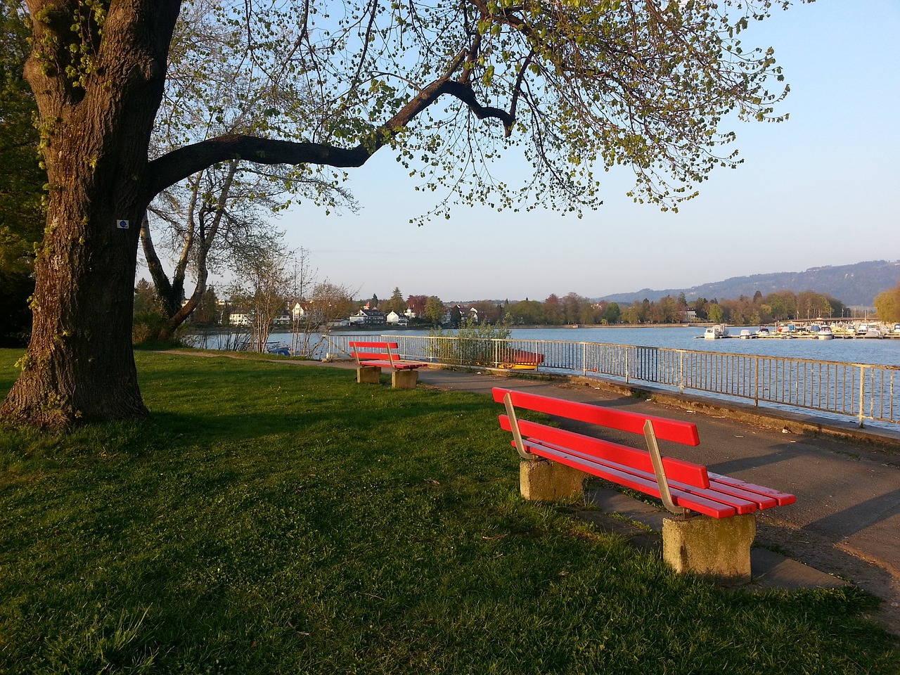 越来越多的 越来越多的