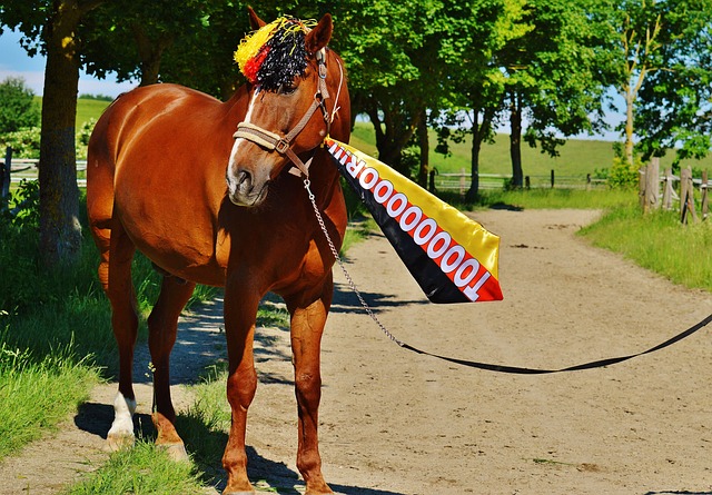 比赛中曾多 比赛中曾多